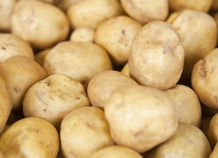 農作物儲存加濕