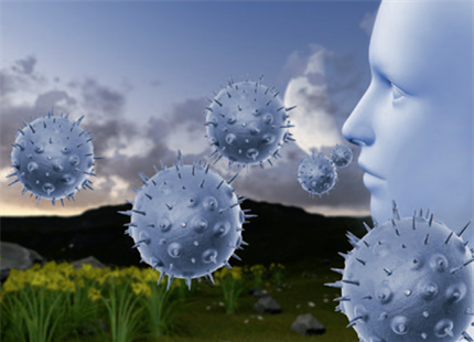 鼻子的空氣調節功能