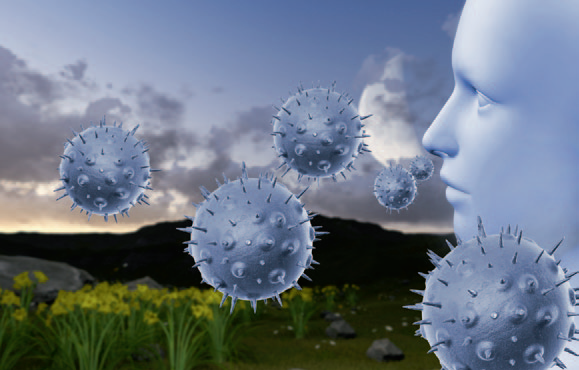 鼻子的空氣調節功能